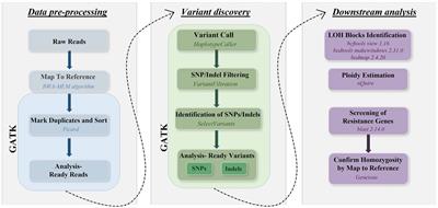 Genomic epidemiology of antifungal resistance in human and avian isolates of Candida albicans: a pilot study from the One Health perspective